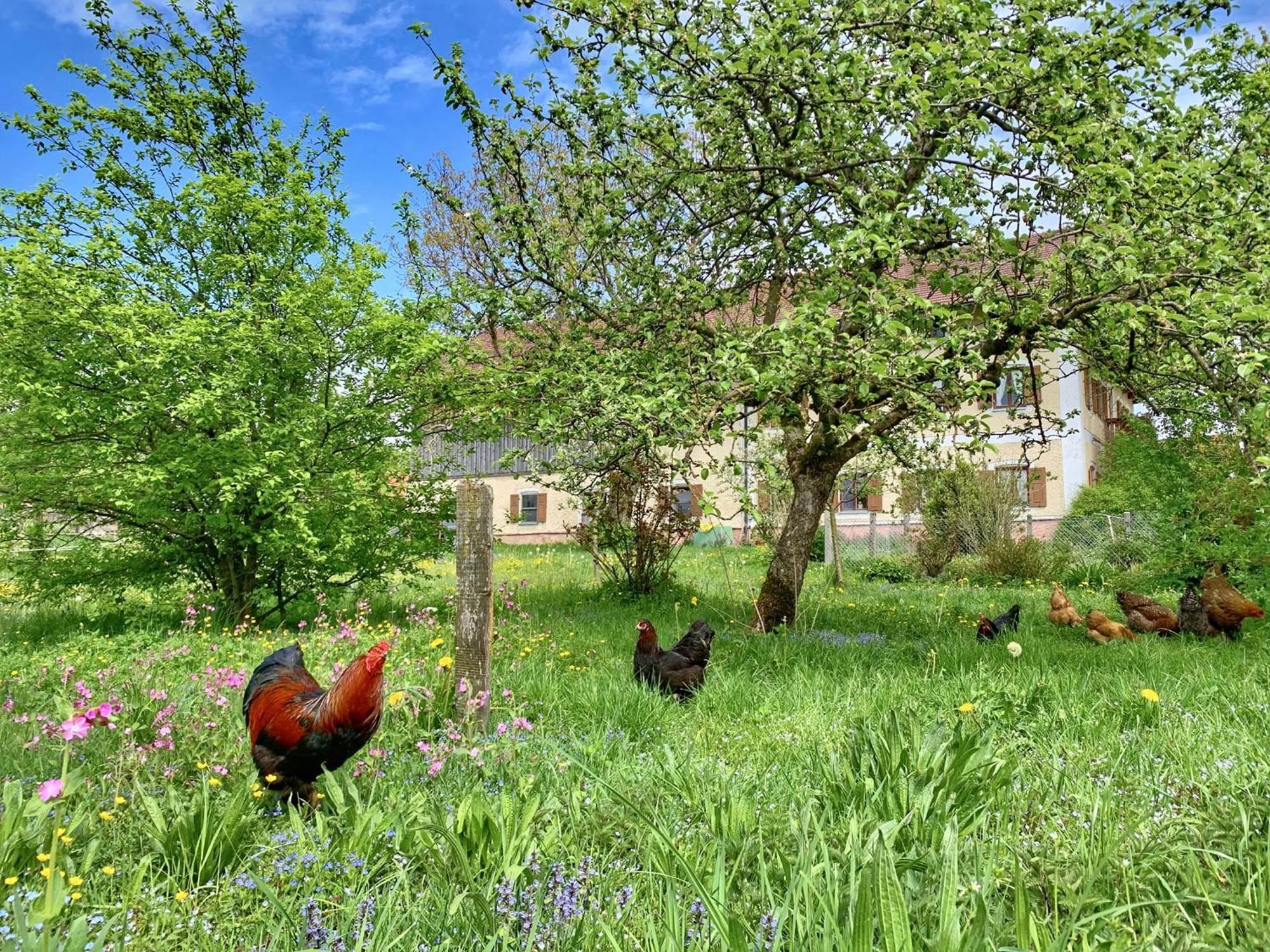 Bauernhof Geigerhof Villa Aschau im Chiemgau Luaran gambar